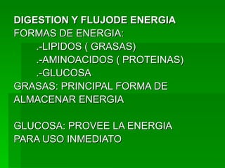 DIGESTION Y FLUJODE ENERGIA FORMAS DE ENERGIA: .-LIPIDOS ( GRASAS) .-AMINOACIDOS ( PROTEINAS) .-GLUCOSA  GRASAS: PRINCIPAL FORMA DE ALMACENAR ENERGIA GLUCOSA: PROVEE LA ENERGIA PARA USO INMEDIATO 