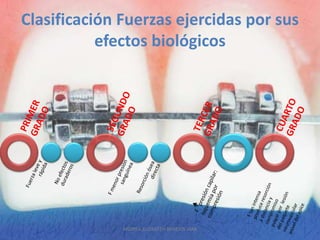 Clasificación Fuerzas ejercidas por sus
           efectos biológicos




              ANDREA ELIZABETH BERRIOS JARA
 