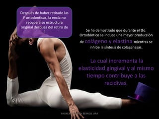 Después de haber retirado las
 F ortodonticas, la encía no
    recupera su estructura
original después del retiro de
              F                            Se ha demostrado que durante el tto.
                                       Ortodóntico se induce una mayor producción
                                       de colágeno y elastina mientras se
                                            inhibe la síntesis de colagenasas.


                                           La cual incrementa la
                                      elasticidad gingival y al mismo
                                         tiempo contribuye a las
                                                 recidivas.



                         ANDREA ELIZABETH BERRIOS JARA
 