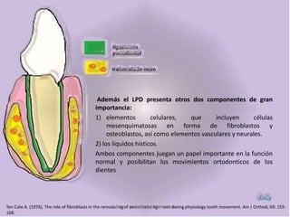 Además el LPD presenta otros dos componentes de gran
                                           importancia:
                                           1) elementos          celulares,  que      incluyen      células
                                                mesenquimatosas en forma de fibroblastos y
                                                osteoblastos, así como elementos vasculares y neurales.
                                           2) los líquidos hísticos.
                                           Ambos componentes juegan un papel importante en la función
                                           normal y posibilitan los movimientos ortodonticos de los
                                           dientes




Ten Cate A. (1976). The role of fibroblasts in the remodeling of ELIZABETH BERRIOS JARA physiology tooth movement. Am J Orthod; 69: 155-
                                                       ANDREA periodontal ligament during
168.
 