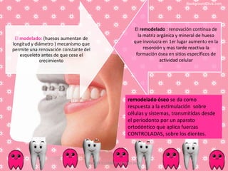El remodelado : renovación continua de
                                                             la matriz orgánica y mineral de hueso
 El modelado: (huesos aumentan de
longitud y diámetro ) mecanismo que                        que involucra en 1er lugar aumento en la
permite una renovación constante del                            resorción y mas tarde reactiva la
    esqueleto antes de que cese el                          formación ósea en sitios específicos de
             crecimiento                                                actividad celular




                                                        remodelado óseo se da como
                                                        respuesta a la estimulación sobre
                                                        células y sistemas, transmitidas desde
                                                        el periodonto por un aparato
                                                        ortodóntico que aplica fuerzas
                                                        CONTROLADAS, sobre los dientes.




                                  ANDREA ELIZABETH BERRIOS JARA
 