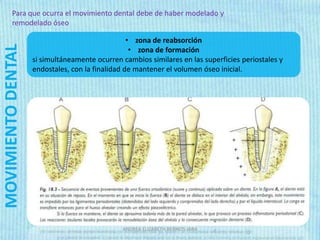 Para que ocurra el movimiento dental debe de haber modelado y
        remodelado óseo

                                                  • zona de reabsorción
MOVIMIENTO DENTAL

                                                   • zona de formación
                    si simultáneamente ocurren cambios similares en las superficies periostales y
                    endostales, con la finalidad de mantener el volumen óseo inicial.




                                               ANDREA ELIZABETH BERRIOS JARA
 