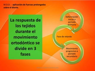 M.D.O. : aplicación de fuerzas prolongadas
sobre el diente.


                                                                  Deformación
      La respuesta de                                               inicial o
                                                                    periodo
                                                                    primario
         los tejidos
         durante el
        movimiento                                        Fase de retardo

      ortodóntico se
        divide en 3                                                Movimiento
                                                                   progresivo o
            fases                                                     periodo
                                                                    secundario



                                ANDREA ELIZABETH BERRIOS JARA
 
