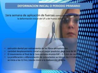 DEFORMACION INICIAL O PERIODO PRIMARIO

1era semana de aplicación de fuerzas como consecuencia de
              la deformación inicial del LP y del hueso alveolar.




•   extrusión dental por estiramiento de las fibras periodontales.
•   cantidad desplazamiento inicial es el mejor predictor de la tasa de M.D. posterior.
•   El movimiento al final de la 1era semana alcanza 0.4 – 0.9 mm de recorrido.
•   La proliferación y diferenciación de osteoclastos se inicia a los 2-3 días (en los jóvenes
    se inicia a las 12 hrs.) dando inicio a la reabsorción directa.


                                   ANDREA ELIZABETH BERRIOS JARA
 
