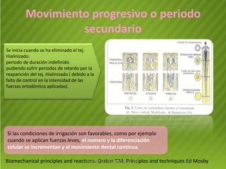 Movimiento progresivo o periodo
                   secundario
Se inicia cuando se ha eliminado el tej.
Hialinizado.
periodo de duración indefinido
pudiendo sufrir periodos de retardo por la
reaparición del tej. Hialinizado ( debido a la
falta de control en la intensidad de las
fuerzas ortodóntica aplicadas).




Si las condiciones de irrigación son favorables, como por ejemplo
cuando se aplican fuerzas leves, el numero y la diferenciación
celular se incrementan y el movimiento dental continua.

Biomechanical principles and reactions. Graber T.M. Principles and techniques Ed Mosby
                                   ANDREA ELIZABETH BERRIOS JARA
 