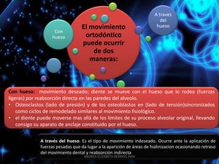 A traves
                                                                           del
                                  El movimiento                          hueso
                    Con
                   hueso           ortodóntico
                                  puede ocurrir
                                      de dos
                                     maneras:



Con hueso: movimiento deseado; diente se mueve con el hueso que lo rodea (fuerzas
ligeras) por reabsorción directa en las paredes del alveolo.
• Osteoclastos (lado de presión) y de los osteoblastos en (lado de tensión)sincronizados
    como ciclos de remodelado similares al movimiento fisiológico.
• el diente puede moverse mas allá de los limites de su proceso alveolar original, llevando
    consigo su aparato de anclaje constituido por el hueso.

              A través del hueso. Es el tipo de movimiento indeseado. Ocurre ante la aplicación de
              fuerzas pesadas que da lugar a la aparición de áreas de hialinizacion ocasionando retraso
              del movimiento dental y reabsorción indirecta
                                    ANDREA ELIZABETH BERRIOS JARA
 