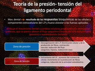 • Mov. dental   resultado de las respuestas bioquímicas de las células y
  componentes extracelulares del L.P y hueso alveolar a las fuerzas aplicadas.

  atribuye el movimiento dental a cambios celulares producidos por mensajeros
 químicos, que se piensa alteran el flujo sanguíneo a través del LPD reduciéndolo
                       (presión) o aumentándolo (tensión)


                                • Desorganización del L.P. Disminución celular y de la
                                  producción de fibras, contracción
        Zona de presión           vascular, reducción del flujo
                                  sanguíneo, hipoxia, reabsorción ósea


                                • Estiramiento del LP , aumento del numero de
                                  celular, incremento en la producción de fibras
         Zona de tensión          colágenas, inducción de la actividad osteoblastica.

                             ANDREA ELIZABETH BERRIOS JARA
 
