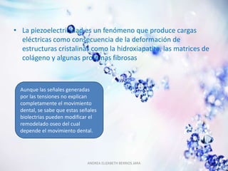 • La piezoelectricidad es un fenómeno que produce cargas
  eléctricas como consecuencia de la deformación de
  estructuras cristalinas como la hidroxiapatita, las matrices de
  colágeno y algunas proteínas fibrosas



  Aunque las señales generadas
  por las tensiones no explican
  completamente el movimiento
  dental, se sabe que estas señales
  biolectrias pueden modificar el
  remodelado oseo del cual
  depende el movimiento dental.




                               ANDREA ELIZABETH BERRIOS JARA
 