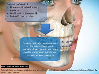 Después de 20 min F:
       • hipermeabilidad de los vasos
         capilares
       • Reubicación líquidos del LP
       • Distorsión matriz celular




                           Esta distorsión afecta directamente
                               al LP ocasiona liberación de
                           vasodilatadores que a su vez hacen
                            posible la migración leucocitaria
                               fuera de los vasos capilares




Roberts E. Bone physiology, metabolism, and biomechanics in orthodontics; currents principles and techniques. St Louis CV
                                              ANDREA ELIZABETH BERRIOS JARA
Mosby 1995 (193-258)
 