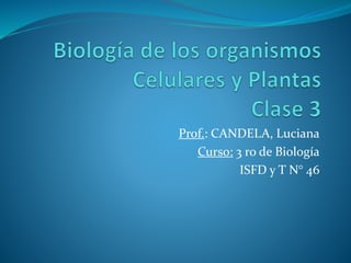 Prof.: CANDELA, Luciana
Curso: 3 ro de Biología
ISFD y T N° 46
 