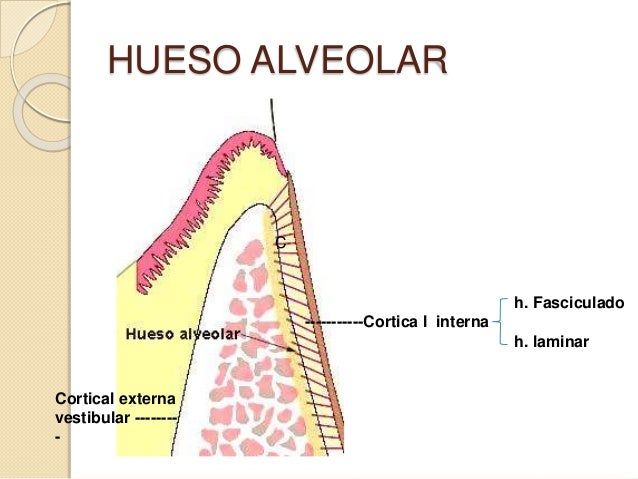 Imagen relacionada