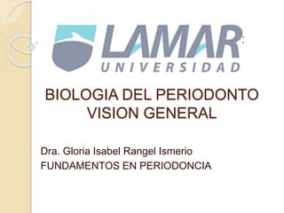 BIOLOGIA DEL PERIODONTO
VISION GENERAL
Dra. Gloria Isabel Rangel Ismerio
FUNDAMENTOS EN PERIODONCIA
 