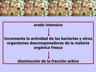 arado intensivo incrementa la actividad de las bacterias y otros organismos descomponedores de la materia orgánica fresca disminución de la fracción activa 