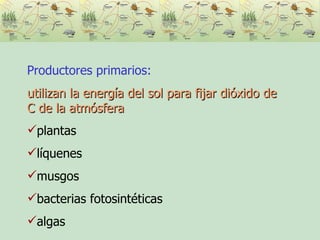 Productores primarios:   utilizan la energía del sol para fijar dióxido de C de la atmósfera  plantas líquenes musgos bacterias fotosintéticas  algas 