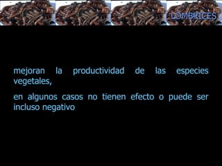 estructura del suelo, balance entre su alimentación y su actividad excavadora.  mejoran la productividad de las especies vegetales,  en algunos casos no tienen efecto o puede ser incluso negativo LOMBRICES 