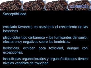 estructura del suelo, balance entre su alimentación y su actividad excavadora.  Susceptibilidad encalado favorece, en ocasiones el crecimiento de las lombrices plaguicidas tipo carbamato y los fumigantes del suelo, efectos muy negativos sobre las lombrices.  herbicidas, exhiben poca toxicidad, aunque con excepciones.  insecticidas organoclorados y organofosforados tienen niveles variables de toxicidad.  LOMBRICES 