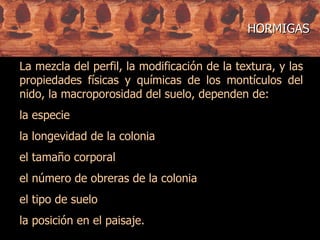 La mezcla del perfil, la modificación de la textura, y las propiedades físicas y químicas de los montículos del nido, la macroporosidad del suelo, dependen de: la especie la longevidad de la colonia el tamaño corporal el número de obreras de la colonia el tipo de suelo  la posición en el paisaje. HORMIGAS 