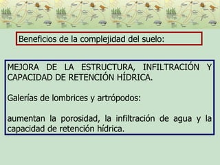 Beneficios de la complejidad del suelo: MEJORA DE LA ESTRUCTURA, INFILTRACIÓN Y CAPACIDAD DE RETENCIÓN HÍDRICA. Galerías de lombrices y artrópodos:  aumentan la porosidad, la infiltración de agua y la capacidad de retención hídrica. 