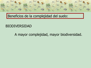 Beneficios de la complejidad del suelo: BIODIVERSIDAD A mayor complejidad, mayor biodiversidad.  