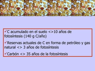 C acumulado en el suelo <>10 años de  fotosíntesis (140 g C/año)  Reservas actuales de C en forma de petróleo y gas natural <> 3 años de fotosíntesis Carbón <> 35 años de la fotosíntesis 