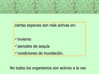 ciertas especies son más activas en: invierno periodos de sequía  condiciones de inundación. No todos los organismos son activos a la vez  