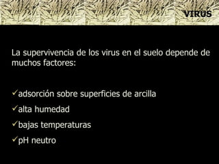 La supervivencia de los virus en el suelo depende de muchos factores: adsorción sobre superficies de arcilla  alta humedad bajas temperaturas pH neutro VIRUS 