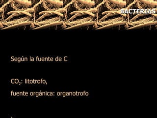Según la fuente de C CO 2 :  litotrofo,  fuente orgánica: organotrofo .  BACTERIAS 