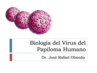 Biología del Virus del
Papiloma Humano
Dr. José Rafael Olmedo
 