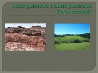 Biologia desmatamento