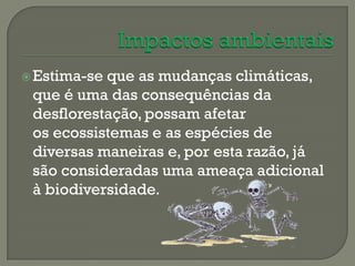  Estima-seque as mudanças climáticas,
 que é uma das consequências da
 desflorestação, possam afetar
 os ecossistemas e as espécies de
 diversas maneiras e, por esta razão, já
 são consideradas uma ameaça adicional
 à biodiversidade.
 