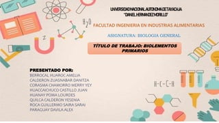 UNIVERSIDADNACIONALAUTONOMADETAYACAJA
“DANIELHERNANDEZMORILLO”
FACULTAD INGENIERIA EN INDUSTRIAS ALIMENTARIAS
ASIGNATURA: BIOLOGIA GENERAL
TÍTULO DE TRABAJO: BIOLEMENTOS
PRIMARIOS
PRESENTADO POR:
BERROCAL HUAROC AMELIA
CALDERON ZUASNABAR DANITZA
CORASMA CHAMORRO MERRY YEY
HUACCAICHUCO CASTILLO JUAN
HUANAY POMA LOURDES
QUILCA CALDERON YESENIA
ROCA GUILLERMO SAIRA SARAI
PARAGUAY DAVILA ALEX
 