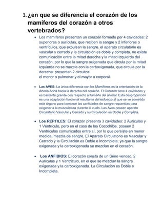 3. ¿en
     que se diferencia el corazón de los
 mamíferos del corazón a otros
 vertebrados?
         Los mamíferos presentan un corazón formado por 4 cavidades: 2
         superiores o aurículas, que reciben la sangre y 2 inferiores o
         ventrículos, que expulsan la sangre. el aparato circulatorio es
         vascular y cerrado y la circulación es doble y completa. no existe
         comunicación entre la mitad derecha y la mitad izquierda del
         corazón, por lo que la sangre oxigenada que circula por la mitad
         izquierda no se mezcla con la carboxigenada, que circula por la
         derecha. presentan 2 circuitos:
         el menor o pulmonar y el mayor o corporal.

         Las AVES: La única diferencia con los Mamíferos es la orientación de la
         Arteria Aorta hacia la derecha del corazón. El Corazón tiene 4 cavidades y
         es bastante grande con respecto al tamaño del animal. Esta desproporción
         es una adaptación funcional resultante del esfuerzo al que se ve sometido
         este órgano para bombear las cantidades de sangre requeridas para
         oxigenar a la musculatura durante el vuelo. Las Aves poseen aparato
         Circulatorio Vascular y Cerrado y su Circulación es Doble y Completa.

         Los REPTILES: El corazón presenta 3 cavidades: 2 Aurículas y
         1 Ventrículo, pero en el caso de los Cocodrilos, poseen 2
         Ventrículos comunicados entre sí, por lo que persiste en menor
         medida, mezcla de sangre. El Aparato Circulatorio es Vascular y
         Cerrado y la Circulación es Doble e Incompleta, ya que la sangre
         oxigenada y la carboxigenada se mezclan en el corazón.

          Los ANFIBIOS: El corazón consta de un Seno venoso, 2
         Aurículas y 1 Ventrículo, en el que se mezclan la sangre
         oxigenada y la carboxigenada. La Circulación es Doble e
         Incompleta.
 