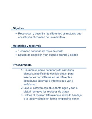 Objetivo
    Reconocer y describir las diferentes estructuras que
    constituyen el corazón de un mamífero.


Materiales y reactivos
    1 corazón pequeño de res o de cerdo
    Equipo de disección y un cuchillo grande y afilado


Procedimiento
      1. Enumere cuadros pequeños de cartulinas
         blancas, plastificando con las cintas, para
         insertarlos con alfileres en las diferentes
         estructuras externas e internas que van a
         señalarse.
      2. Lava el corazón con abundante agua y con el
         bisturí remueve los residuos de grasa.
      3. Coloca el corazón lateralmente sobre la bandeja
         o la tabla y córtalo en forma longitudinal con el
 