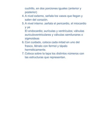 cuchillo, en dos porciones iguales (anterior y
   posterior)
4. A nivel externo, señala los vasos que llegan y
   salen del corazón.
5. A nivel interno ,señala el pericardio, el miocardio
   y ye
   El endocardio; aurículas y ventrículos; válvulas
   auriculoventriculares y válvulas semilunares o
   sigmoideas
6. Con cuidado, coloca cada mitad en uno del
   frasco, llénalo con fermol y tápalo
   herméticamente.
7. Coloca sobre la tapa los distintos números con
   las estructuras que representan.
 