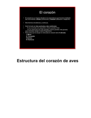 Estructura del corazón de aves
 