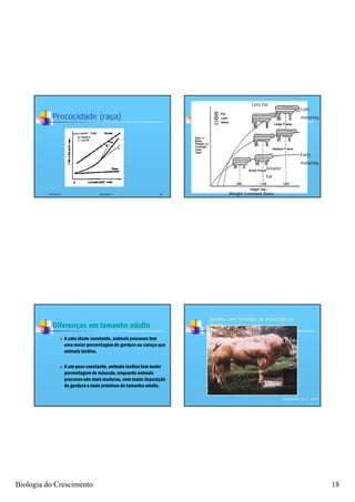 Less Fat
                                                                                                                    Late
            Precocidade (raça)                                                                                      maturing




                                                                                                                    Early
                                                                                                                    maturing
                                                                                               Greater
                                                                                               Fat


          4/16/2012                  Zootecnia I                 69           Weight Constant Basis




                                                                       Bovino com fenótipo de musculatura
            Diferenças em tamanho adulto                               dupla


                     A uma idade constante, animais precoces tem
                      uma maior porcentagem de gordura na caraça que
                      animais tardios.

                     A um peso constante, animais tardios tem maior
                      porcentagem de músculo, enquanto animais
                      precoces são mais maduros, com maior deposição
                      de gordura e mais próximos do tamanho adulto.

                                                                                                         Castelhano, E. C., 2000




Biologia do Crescimento                                                                                                            18
 