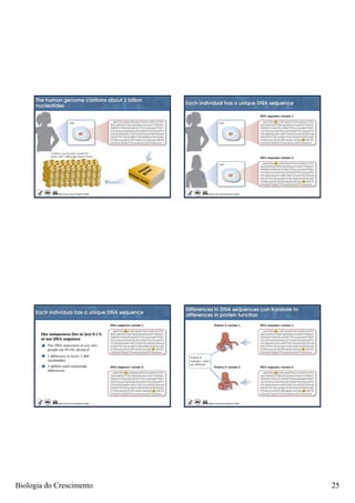 Biologia do Crescimento   25
 