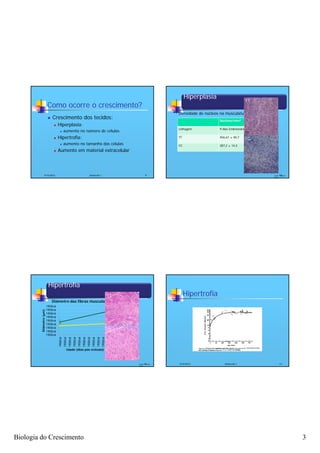Hiperplasia
                                                                                                                                                                                                                  TT
                         Como ocorre o crescimento?
                                                                                                                                                                        Densidade de núcleos na musculatura peitoral
                            Crescimento dos tecidos:                                                                                                                                        Núcleos/mm2
                                 Hiperplasia:
                                                                                                                                                                        Linhagem             9 dias Embrionário
                                           aumento no número de células
                                 Hipertrofia:                                                                                                                          TT                   456,61 ± 40,7        CC
                                           aumento no tamanho das células                                                                                              CC                   287,2 ± 14,2
                                 Aumento em material extracelular




                 4/16/2012                                                                        Zootecnia I                                                 9                                                        Fonte: 10
                                                                                                                                                                                                                              Patricio,
                                                                                                                                                                                                                       2008




                         Hipertrofia
                                                                                                                                       TT                                    Hipertrofia
                             Diâmetro das fibras musculares
                        1900ral
                        1900ral
         Diâmetr (μm)




                        1900ral
                        1900ral
               ro




                        1900ral
                                                                                                                                                TT
                        1900ral
                        1900ral
                        1900ral                                                                                                        CC       CC
                        1900ral
                                  1900ral
                                            1900ral
                                                      1900ral
                                                                1900ral
                                                                          1900ral
                                                                                    1900ral
                                                                                              1900ral
                                                                                                        1900ral
                                                                                                                  1900ral
                                                                                                                            1900ral
                                                                                                                                      1900ral




                                                 Idade (dias pós eclosão)



                                                                                                                                                     Fonte: 11
                                                                                                                                                            Patricio,   4/16/2012               Zootecnia I                   12
                                                                                                                                                     2008




Biologia do Crescimento                                                                                                                                                                                                                   3
 