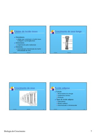 Células do tecido ósseo                                 Crescimento de osso longo

               Osteoblasto:
                     células que constroem o tecido ósseo
                      (colágeno e proteoglicanas)
               Osteoclasto:
                     responsáveis pela reabsorção
               Osteócito:
                     essencial para manutenção da matriz
                      mineralizada do osso
          4/16/2012                 Zootecnia I              25   4/16/2012                 Zootecnia I       26




            Crescimento do osso                                     Tecido adiposo
                                                                       Função
                                                                             Reservatório de energia
                                                                             Isolamento térmico
                                                                             Proteção
                                                                       Tipos de tecido adiposo
                                                                             Subcutâneo
                                                                             Renal e pélvico
                                                                             Intermuscular e intramuscular

          4/16/2012                 Zootecnia I              27   4/16/2012                 Zootecnia I       28




Biologia do Crescimento                                                                                            7
 