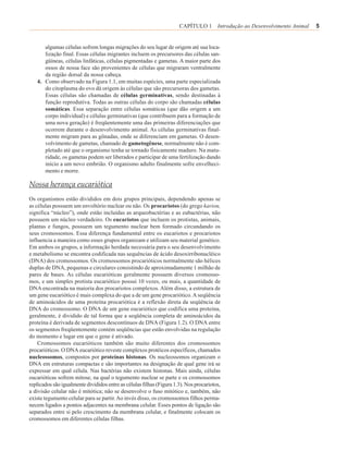 CAPÍTULO 1 Introdução ao Desenvolvimento Animal   5


      algumas células sofrem longas migrações do seu lugar de origem até sua loca-
      lização final. Essas células migrantes incluem os precursores das células san-
      güíneas, células linfáticas, células pigmentadas e gametas. A maior parte dos
      ossos de nossa face são provenientes de células que migraram ventralmente
      da região dorsal da nossa cabeça.
   4. Como observado na Figura 1.1, em muitas espécies, uma parte especializada
      do citoplasma do ovo dá origem às células que são precursoras dos gametas.
      Essas células são chamadas de células germinativas, sendo destinadas à
      função reprodutiva. Todas as outras células do corpo são chamadas células
      somáticas. Essa separação entre células somáticas (que dão origem a um
      corpo individual) e células germinativas (que contribuem para a formação de
      uma nova geração) é freqüentemente uma das primeiras diferenciações que
      ocorrem durante o desenvolvimento animal. As células germinativas final-
      mente migram para as gônadas, onde se diferenciam em gametas. O desen-
      volvimento de gametas, chamado de gametogênese, normalmente não é com-
      pletado até que o organismo tenha se tornado fisicamente maduro. Na matu-
      ridade, os gametas podem ser liberados e participar de uma fertilização dando
      início a um novo embrião. O organismo adulto finalmente sofre envelheci-
      mento e morre.

Nossa herança eucariótica
Os organismos estão divididos em dois grupos principais, dependendo apenas se
as células possuem um envoltório nuclear ou não. Os procariotos (do grego karion,
significa “núcleo”), onde estão incluídas as arqueobactérias e as eubactérias, não
possuem um núcleo verdadeiro. Os eucariotos que incluem os protistas, animais,
plantas e fungos, possuem um tegumento nuclear bem formado circundando os
seus cromossomos. Essa diferença fundamental entre os eucariotos e procariotos
influencia a maneira como esses grupos organizam e utilizam seu material genético.
Em ambos os grupos, a informação herdada necessária para o seu desenvolvimento
e metabolismo se encontra codificada nas sequências de ácido desoxirribonucléico
(DNA) dos cromossomos. Os cromossomos procarióticos normalmente são hélices
duplas de DNA, pequenas e circulares consistindo de aproximadamente 1 milhão de
pares de bases. As células eucarióticas geralmente possuem diversos cromosso-
mos, e um simples protista eucariótico possui 10 vezes, ou mais, a quantidade de
DNA encontrada na maioria dos procariotos complexos. Além disso, a estrutura de
um gene eucariótico é mais complexa do que a de um gene procariótico. A seqüência
de aminoácidos de uma proteína procariótica é a reflexão direta da seqüência de
DNA do cromossomo. O DNA de um gene eucariótico que codifica uma proteína,
geralmente, é dividido de tal forma que a seqüência completa de aminoácidos da
proteína é derivada de segmentos descontínuos de DNA (Figura 1.2). O DNA entre
os segmentos freqüentemente contém seqüências que estão envolvidas na regulação
do momento e lugar em que o gene é ativado.
    Cromossomos eucarióticos também são muito diferentes dos cromossomos
procarióticos. O DNA eucariótico reveste complexos protéicos específicos, chamados
nucleossomos, compostos por proteínas histonas. Os nucleossomos organizam o
DNA em estruturas compactas e são importantes na designação de qual gene irá se
expressar em qual célula. Nas bactérias não existem histonas. Mais ainda, células
eucarióticas sofrem mitose, na qual o tegumento nuclear se parte e os cromossomos
replicados são igualmente divididos entre as células filhas (Figura 1.3). Nos procariotos,
a divisão celular não é mitótica; não se desenvolve o fuso mitótico e, também, não
existe tegumento celular para se partir. Ao invés disso, os cromossomos filhos perma-
necem ligados a pontos adjacentes na membrana celular. Esses pontos de ligação são
separados entre si pelo crescimento da membrana celular, e finalmente colocam os
cromossomos em diferentes células filhas.
 