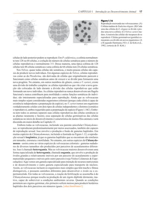 CAPÍTULO 1 Introdução ao Desenvolvimento Animal                   17


                                                                                         Figura 1.16
                                                                                         Reprodução assexuada nas volvocaceanas. (A)
                                                                                         Colônia madura de Eudorina elegans. (B) Cada
                                                                                         uma das células de E. elegans se divide e pro-
                                                                                         duz uma nova colônia. (C) Volvox carteri ma-
                                                                                         duro. A maioria das células são incapazes de se
                                                                                         reproduzir. Células germinativas (gonídia) co-
                                                                                         meçaram a se dividir em novos organismos. (A
                                                                                         e B segundo Hartmann,1921; C de Kirk et al.,
           (A)                              (B)                         (C)
                                                                                         1982, cortesia de D. Kirk.)




células do lado posterior podem se reproduzir. Em P. californica, a colônia normalmen-
te tem 128 ou 64 células, e a relação do número de células somáticas para o número de
células reprodutivas é normalmente 3:5. Dessa maneira, uma típica colônia de 128
células tem 48 células somáticas e uma colônia de 64 células tem 24 células somáticas.
     Nos Volvox, quase todas células são somáticas, e muito poucas células são capa-
zes de produzir novos indivíduos. Em algumas espécies de Volvox, células reproduti-
vas como as da Pleodorina, são derivadas de células que originalmente parecem e
funcionam como células somáticas antes de crescer e se dividir para formarem uma
nova progênie. No entanto, em outros membros do gênero, como o V. carteri, existe
uma divisão do trabalho completa: as células reprodutivas que vão criar a nova gera-
ção são colocadas de lado durante a divisão das células reprodutivas que estão
formando um novo indivíduo. As células reprodutivas nunca desenvolvem um flagelo
funcional e nunca contribuem para motilidade e outras funções somáticas do indiví-
duo; são inteiramente especializadas para reprodução. Ainda que as volvocaceas
mais simples sejam consideradas organismos coloniais (porque cada célula é capaz de
existência independente e perpetuação da espécie), no V. carteri temos um organismo
verdadeiramente celular com dois tipos de células independentes e distintos (somático
e reprodutivo), ambos requeridos para a perpetuação da espécie (Figura 1.16C). Embo-
ra nem todos os animais separem suas células reprodutivas das células somáticas (e
as plantas raramente o fazem), essa separação de células germinativas das células
somáticas no início do desenvolvimento é característica de muitos filos animais e será
discutida em maior detalhe no Capítulo 13.
     Embora todas as volvocaceas, incluindo seu parente unicelular Chlamydomo-
nas, se reproduzam predominantemente por meios assexuados, também são capazes
de reprodução sexual. Isso envolve a produção e fusão de gametas haplóides. Em
muitas espécies de Chlamydomonas, incluindo a ilustrada na Figura 1.12, a reprodu-
ção sexual é isogâmica, já que os gametas haplóides que se encontram são similares
em tamanho, estrutura e motilidade. No entanto, em outras espécies de Chlamydo-
monas - assim como as várias espécies de volvocaceas coloniais - gametas nadado-
res de diversos tamanhos são produzidos por parceiros de acasalamentos diferen-
tes. Isso é chamado heterogamia. Mas as volvocaceas maiores desenvolveram uma
forma especializada de heterogamia, chamada oogamia, que envolve a produção de
óvulos grandes e relativamente imóveis por um parceiro do acasalamento e esper-
matozóides pequenos e móveis pelo outro parceiro (veja Visões Colaterais & Espe-
culações). Aqui vemos um gameta especializado para retenção de recursos nutricionais
e de desenvolvimento e outro gameta especializado para transporte de núcleos.
Assim, as volvocaceas incluem os organismos mais simples que têm macho e fêmea
distinguíveis, e possuem caminhos diferentes para desenvolver o óvulo ou o es-
permatozóide. Em todas as volvocaceas, a reação da fertilização se assemelha à do
Chlamydomonas porque resulta na produção de um zigoto diplóide dormente, ina-
tivo, capaz de sobreviver a condições ambientais severas. Quando as condições
permitem aos zigotos germinar, eles primeiro sofrem meiose para produzir herdeiros
haplóides dos dois parceiros em números iguais. [other.html#intro1]
 