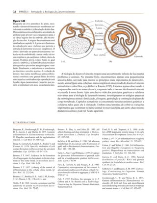 32     PARTE I Introdução à Biologia do Desenvolvimento


Figura 1.30                                                                                        Embrião
Diagrama do ovo amniótico do pinto, mos-                                                          Intestino
trando o desenvolvimento das membranas en-
                                                                                                   Âmnio
volvendo o embrião. (A) Incubação de três dias.
O mesoderma extra-embrionário se estende do                                                       Cavidade
embrião para prover vasos sangüíneos para e                                                       amniótica
de várias regiões fora do embrião. (B) Incuba-
                                                                                                  Alantóide
ção de sete dias. A origem das membranas será
detalhada no capítulo 9. A gema será finalmen-                                                      Cório
te rodeada pelo saco vitelínico que permite a
entrada de nutrientes nos vasos sangüíneos. O                                                       Gema
cório é derivado em parte do ectoderma e es-
tende-se do embrião até a casca (onde irá tro-                                                   Saco vitelino
car oxigênio e gás carbônico e obter cálcio da                                                                                                    Alantóide
casca). O âmnio prove o meio fluido no qual
                                                          (A)                                                       (B)
cresce o embrião, e a alantóide coleta resíduos
nitrogenados que seriam perigosos para o em-
brião. Finalmente, o endoderma se transforma
no intestino e envolve a gema. A evolução do
âmnio e das outras membranas extra-embrio-                A biologia do desenvolvimento proporciona um sortimento infinito de fascinantes
nárias constituiu uma grande linha divisória          problemas e animais. No presente livro, encontraremos apenas uma pequeníssima
entre aqueles vertebrados cuja reprodução está        amostra deles, servindo para ilustrar os princípios mais importantes do desenvolvi-
ligada à água (anamniotas) e aqueles que po-          mento animal (para uma cobertura mais completa da diversidade do desenvolvimento
dem se reproduzir em áreas secas (amniotas).
                                                      animal através dos filos, veja Gilbert e Raunio,1997). Estamos apenas observando o
                                                      conjunto das marés ao nosso alcance, enquanto todo o oceano do desenvolvimento
                                                      se estende à nossa frente. Após uma breve visão dos princípios genéticos e celulares
                                                      relevantes para a biologia do desenvolvimento, investigaremos os estágios precoces
                                                      da embriogênese animal: fertilização, clivagem, gastrulação e construção do plano do
                                                      corpo vertebrado. Capítulos posteriores se concentrarão nos mecanismos genéticos e
                                                      celulares pelos quais ele é elaborado. Embora uma tentativa de cobrir as variações
                                                      importantes que ocorreram no reino animal tivesse sido feita, um certo chauvinismo
                                                      deuterostossômico pode ter ficado aparente.



LITERATURA CITADA


Bergman, K., Goodenough, U. W., Coodenough,           Bonner, J., Hay, A. and John, D. 1985. pH             Firtel, R. A. and Chapman, A. L. 1990. A role
D. A., Jawitz, J. and Martin, H. 1975. Gametic        affects fruiting and slug orientation in Dictyos-     for cAMP-dependent protein kinase A in early
differentiation in ChIamydomonas reinhardtii.         telium discoideum. J. Embryol. Exp. Morphol.          Dictyostelium development. Genes Dev. 4:18-28.
II. Flagellar membranes and the agglutination         87: 207-213.
                                                                                                            Fulton, C. 1977. Cell differentiation in Naegleria
reaction. J. Cell Biol. 67: 606-622.
                                                      da Silva, A. M. and Klein, C. 1990. Cell adhesion     gruberi. Annu. Rev. Microbiol. 31: 597-629.
Beug, H., Gerisch, G., Kempff, S., Riedel, V. and     transformed D. discoideum cells: Expression of
                                                                                                            Fulton, C. and Walsh, C. 1980. Cell differentia-
Cremer, G. 1970. Specific inhibition of cell          gp80 and its biochemical characterization. Dev.
                                                                                                            tion and flagellar elongation in Naegleria
contact formation in Dictyostelium by univalent       Biol. 140: 139-148.
                                                                                                            gruberi: Dependence on transcription and
antibodies. Exp. Cell Res. 63: 147-158.
                                                      Early, A., Abe, T. and Williams, J. 1995. Evidence    translation. J. Cell Biol. 85: 346-360.
Bonner, J. T. 1947. Evidence for the formation        for positional differentiation of prestalk celIs
                                                                                                            Garcia, E. and Dazy, A.-C. 1986. Spatial
of cell aggregates by chemotaxis in the develop-      and for a morphogenetic gradient in Dictyoste-
                                                                                                            distribution of poly(A) + RNA and protein
ment of the slime mold Dictyostelium discoi-          lium. Cell 83: 91-99.
                                                                                                            synthesis in Acetabularia mediterranea. Biol.
deum. J. Exp. Zool. 106: 1-26.
                                                      Faix, J., Gerisch, G. and Noegel, A. A. 1990.         Cell 58: 23-29.
Bonner, J. T. 1957. A theory of the control of        Constitutive overexpression of the contact A
                                                                                                            Gilbert, S. F. aned Raunio, A. M. 1997. Embryo-
differentiation in the cellular slime molds. Q.       glycoprotein enables growth-phase celIs of Dic-
                                                                                                            logy: Constructing the Organism. Sinauer
Rev. Biol. 32: 232-246.                               tyostelium discoideum to aggregate. EMBO J. 9:
                                                                                                            Associates, Sunderland, MA.
                                                      2709-2716.
Bonner, J. T., Berkley, D. S., Hall, E. M., Konijn,
                                                                                                            Goodenough, U. W. and Weiss, R. L. 1975,
T. M., Mason, J. W., O’Keefe, G. and                  Fell, P. 1997. Porifera, the sponges. In S. F.
                                                                                                            Gametic differentiation in ChIamydomonas rei-
                                                      Gilbert and A. M. Raunio (eds.), Embryology:
Wolfe, P. B. 1969. Acrasin, acrasinase and the                                                              nhardtii. III. Cell wall lysis and microfilament
                                                      Constructing the Organism. Sinauer Associates,
sensitivity to acrasin in Dictyostelium discoi-                                                             associated mating structure activation in wild-type
                                                      Sunderland, MA.
deum. Dev. Biol. 20: 72-87.                                                                                 and mutant strains. I. Cell Biol. 67: 623-637.
 