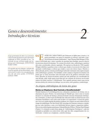 Genes e desenvolvimento:
Introdução e técnicas                                                                                                  2
O que gostaríamos de saber é se a estrutura
é determinada diretamente pela informação
codificada no DNA, gravada no ovo... na
extensão em que estrutura pode ser ex-
pressa por informação. JONATHAN
                                              “E             NTRE OS CARACTERES que fornecem os dados para a teoria, e os
                                                             genes postulados, aos quais os caracteres se referem, está todo o cam-
                                                             po do desenvolvimento embrionário”. Aqui Thomas Hunt Morgan (1926)
                                              estava verificando que o único caminho de genótipo para fenótipo, passava através
                                              de processos desenvolvimentais. No começo do século vinte, embriologia e genética
BARD (1990)                                   não eram consideradas ciências separadas. Divergiram na década de 1920, quando
                                              Morgan redefiniu a genética como a ciência que estuda a transmissão dos traços em
Os segredos que me enlaçam e cativam são      oposição à embriologia, a ciência que estuda a expressão desses traços. Durante a
em geral segredos da hereditariedade: como    última década, porém, as técnicas da biologia molecular realizaram uma reaproximação
uma semente de pêra vira uma pereira em       entre embriologia e genética. Na realidade, os dois campos se ligaram novamente a tal
vez de um urso polar. CYNTHIA
                                              ponto que se torna necessário uma discussão prévia da genética molecular neste
OZICK (1989)
                                              texto. Questões do desenvolvimento animal que não poderiam ser consideradas há
                                              uma década, estão sendo agora resolvidas por um conjunto de técnicas envolvendo
                                              síntese de ácidos nucléico e hibridização. Este capítulo procura situar essas novas
                                              técnicas dentro do contexto do diálogo, ora em curso, entre genética e embriologia.

                                              As origens embriológicas da teoria dos genes
                                              Núcleo ou Citoplasma: Qual Controla a Hereditariedade?
                                              Mendel chamou-os Formbildungelementen, elementos construtores de formas; nós os
                                              chamamos de genes. Porém, é na terminologia de Mendel que vemos como no século
                                              dezenove os conceitos de herança e desenvolvimento estavam intimamente entrelaça-
                                              dos. Entretanto, as observações de Mendel não indicaram onde na célula ficavam esses
                                              elementos hereditários, nem como eram levados a se expressarem. A teoria dos genes,
                                              que viria a ser a pedra angular da genética moderna, teve origem em uma controvérsia no
                                              campo da embriologia. Em fins século XIX, um grupo de cientistas começou a estudar,
                                              por seu valor intrínseco, como ovos fertilizados davam origem a organismos adultos.
                                              Dois jovens embriologistas americanos, Edmund Beecher Wilson e Thomas Hunt Morgan
                                              (Figura 2.1), tornaram-se parte desse grupo de “embriologistas fisiológicos”, cada um
                                              tornando-se partidário na controvérsia sobre qual dos dois compartimentos do ovo
                                              fertilizado - o núcleo ou o citoplasma - controla a herança.


                                                                                                                                  35
 