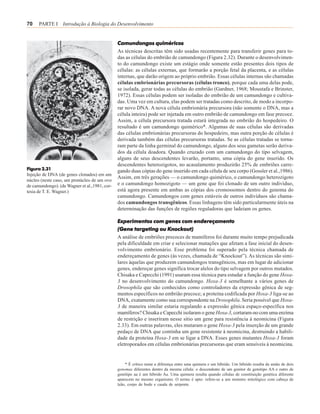 70    PARTE I Introdução à Biologia do Desenvolvimento


                                               Camundongos quiméricos
                                               As técnicas descritas têm sido usadas recentemente para transferir genes para to-
                                               das as células do embrião de camundongo (Figura 2.32). Durante o desenvolvimen-
                                               to do camundongo existe um estágio onde somente estão presentes dois tipos de
                                               células: as células externas, que formarão a porção fetal da placenta, e as células
                                               internas, que darão origem ao próprio embrião. Essas células internas são chamadas
                                               células embrionárias precursoras (células tronco), porque cada uma delas pode,
                                               se isolada, gerar todas as células do embrião (Gardner, 1968; Moustafa e Brinster,
                                               1972). Essas células podem ser isoladas do embrião de um camundongo e cultiva-
                                               das. Uma vez em cultura, elas podem ser tratadas como descrito, de modo a incorpo-
                                               rar novo DNA. A nova célula embrionária precursora (não somente o DNA, mas a
                                               célula inteira) pode ser injetada em outro embrião de camundongo em fase precoce.
                                               Assim, a célula precursora tratada estará integrada no embrião do hospedeiro. O
                                               resultado é um camundongo quimérico*. Algumas de suas células são derivadas
                                               das células embrionárias precursoras do hospedeiro, mas outra porção de células é
                                               derivada também das células precursoras tratadas. Se as células tratadas se torna-
                                               ram parte da linha germinal do camundongo, alguns dos seus gametas serão deriva-
                                               dos da célula doadora. Quando cruzado com um camundongo do tipo selvagem,
                                               alguns de seus descendentes levarão, portanto, uma cópia do gene inserido. Os
                                               descendentes heterozigotos, no acasalamento produzirão 25% de embriões carre-
Figura 2.31                                    gando duas cópias do gene inserido em cada célula de seu corpo (Gossler et al.,1986).
Injeção de DNA (de genes clonados) em um
                                               Assim, em três gerações — o camundongo quimérico, o camundongo heterozigoto
núcleo (neste caso, um pronúcleo de um ovo
de camundongo). (de Wagner et al.,1981, cor-   e o camundongo homozigoto — um gene que foi clonado de um outro indivíduo,
tesia de T. E. Wagner.)                        está agora presente em ambas as cópias dos cromossomos dentro do genoma do
                                               camundongo. Camundongos com genes estáveis de outros indivíduos são chama-
                                               dos camundongos transgênicos. Essas linhagens têm sido particularmente úteis na
                                               determinação das funções de regiões reguladoras que ladeiam os genes.

                                               Experimentos com genes com endereçamento
                                               (Gene targeting ou Knockout)
                                               A análise de embriões precoces de mamíferos foi durante muito tempo prejudicada
                                               pela dificuldade em criar e selecionar mutações que afetam a fase inicial do desen-
                                               volvimento embrionário. Esse problema foi superado pela técnica chamada de
                                               endereçamento de genes (às vezes, chamada de “Knockout”). As técnicas são simi-
                                               lares àquelas que produzem camundongos transgênicos, mas em lugar de adicionar
                                               genes, endereçar genes significa trocar alelos do tipo selvagem por outros mutados.
                                               Chisaka e Capecchi (1991) usaram essa técnica para estudar a função do gene Hoxa-
                                               3 no desenvolvimento do camundongo. Hoxa-3 é semelhante a vários genes de
                                               Drosophila que são conhecidos como controladores da expressão gênica de seg-
                                               mentos específicos no embrião precoce; a proteína codificada por Hoxa-3 liga-se ao
                                               DNA, exatamente como sua correspondente na Drosophila. Seria possível que Hoxa-
                                               3 de maneira similar estaria regulando a expressão gênica espaço-específica nos
                                               mamíferos? Chisaka e Capecchi isolaram o gene Hoxa-3, cortaram-no com uma enzima
                                               de restrição e inseriram nesse sítio um gene para resistência à neomicina (Figura
                                               2.33). Em outras palavras, eles mutaram o gene Hoxa-3 pela inserção de um grande
                                               pedaço de DNA que continha um gene resistente à neomicina, destruindo a habili-
                                               dade da proteína Hoxa-3 em se ligar a DNA. Esses genes mutantes Hoxa-3 foram
                                               eletroporados em células embrionárias precursoras que eram sensíveis à neomicina.


                                                   * É crítico notar a diferença entre uma quimera e um híbrido. Um híbrido resulta da união de dois
                                               genomas diferentes dentro da mesma célula: o descendente de um genitor de genótipo AA e outro de
                                               genótipo aa é um híbrido Aa. Uma quimera resulta quando células de constituição genética diferente
                                               aparecem no mesmo organismo. O termo é apto: refere-se a um monstro mitológico com cabeça de
                                               leão, corpo de bode e cauda de serpente.
 