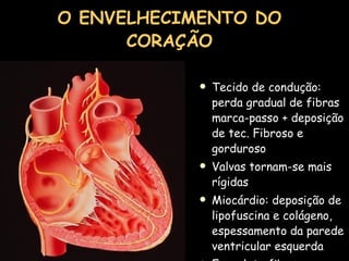 O ENVELHECIMENTO DO CORAÇÃO Tecido de condução: perda gradual de fibras marca-passo + deposição de tec. Fibroso e gorduroso Valvas tornam-se mais rígidas  Miocárdio: deposição de lipofuscina e colágeno, espessamento da parede ventricular esquerda  Esqueleto fibroso: calcificação 