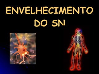 ENVELHECIMENTO DO SN 