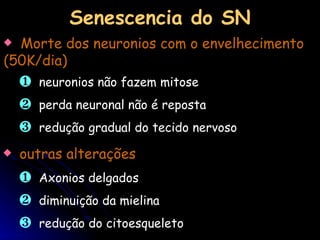 Morte dos neuronios com o envelhecimento  (50K/dia) neuronios não fazem mitose perda neuronal não é reposta redução gradual do tecido nervoso Senescencia do SN outras alterações Axonios delgados diminuição da mielina redução do citoesqueleto 