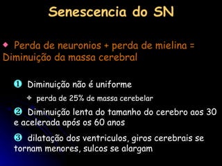 Senescencia do SN perda de 25% de massa cerebelar Perda de neuronios + perda de mielina = Diminuição da massa cerebral Diminuição não é uniforme Diminuição lenta do tamanho do cerebro aos 30 e acelerada após os 60 anos dilatação dos ventriculos, giros cerebrais se tornam menores, sulcos se alargam 
