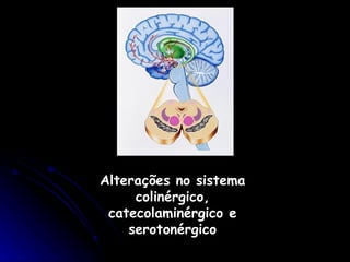 Alterações no sistema colinérgico, catecolaminérgico e serotonérgico córtex Núcleo caudado 