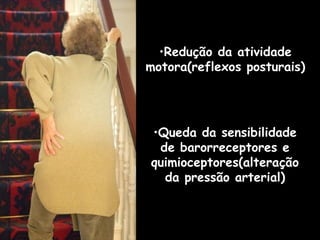 Redução da atividade motora(reflexos posturais) Queda da sensibilidade de barorreceptores e quimioceptores(alteração da pressão arterial) 